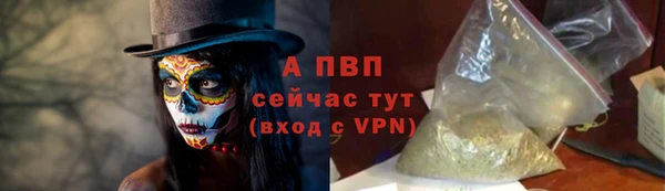 твердый Иннополис